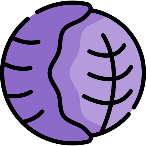 Cabbage
