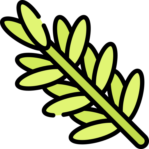 Herbs de Provence